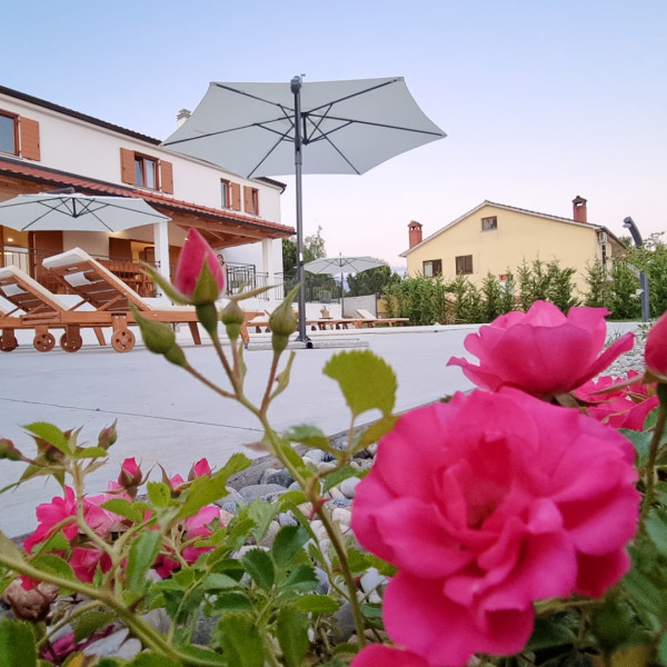 Villa Roža - Dolinci, Villa Roža - Dolinci, wheelchair accessible, Sv. Petar u &Scaron;umi, Istria - Croatia Sveti Petar u &Scaron;umi